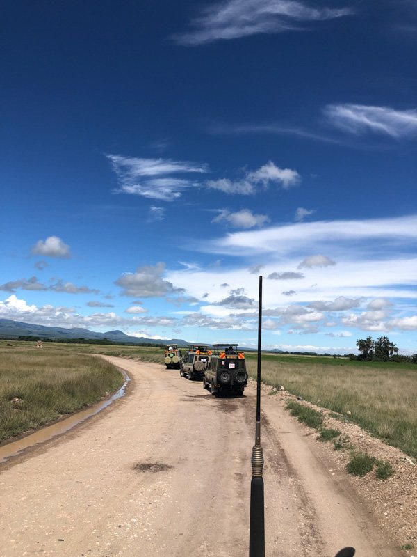 Safari